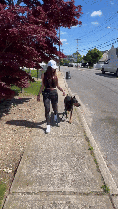 The TrailLink System - Adjustable Hands-Free Dog Leash with Storage | TrailLinkGear